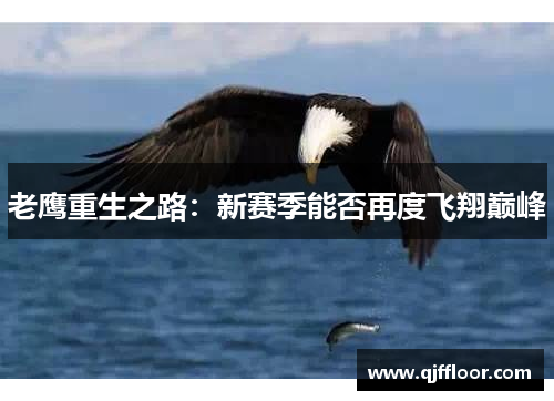 老鹰重生之路：新赛季能否再度飞翔巅峰